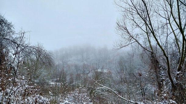 troosteloos winterlandschap